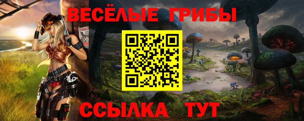 наркошоп  Вход с VPN  Волжск  Псилоцибиновые грибы GOLDEN TEACHER 